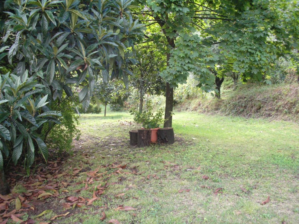 Il Fienile Villa Ripafratta Luaran gambar