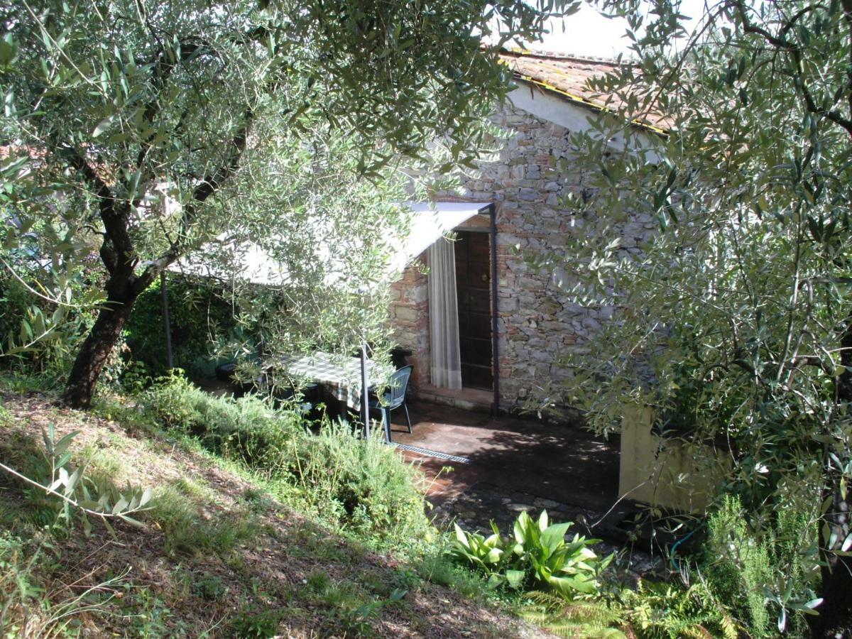 Il Fienile Villa Ripafratta Luaran gambar