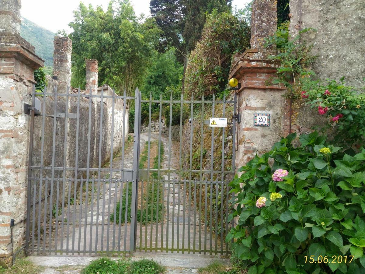 Il Fienile Villa Ripafratta Luaran gambar